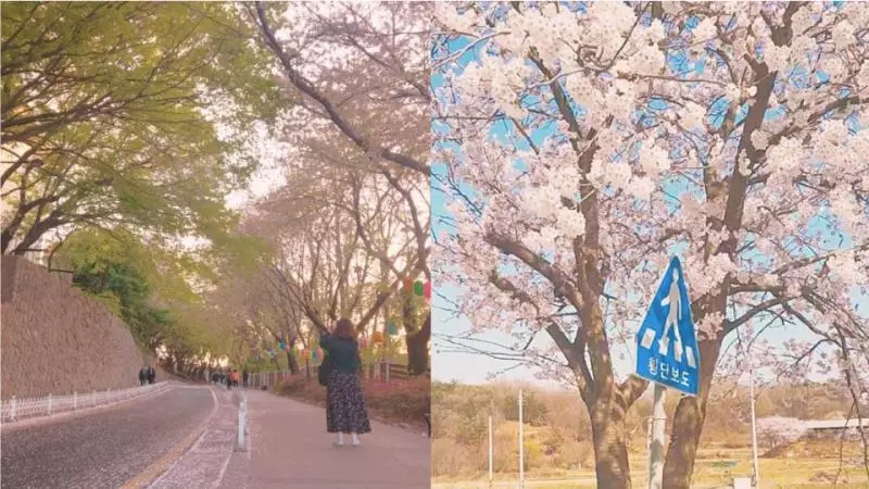 韓妞手機必備5款超夢幻濾鏡app,隨手拍拍就能擁有畫報般的仙女照!