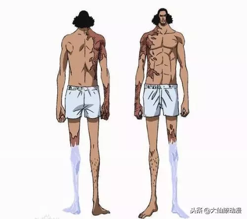 海賊王·那些強者在激烈戰鬥留下的傷疤,唯獨路飛的這個最搞笑!