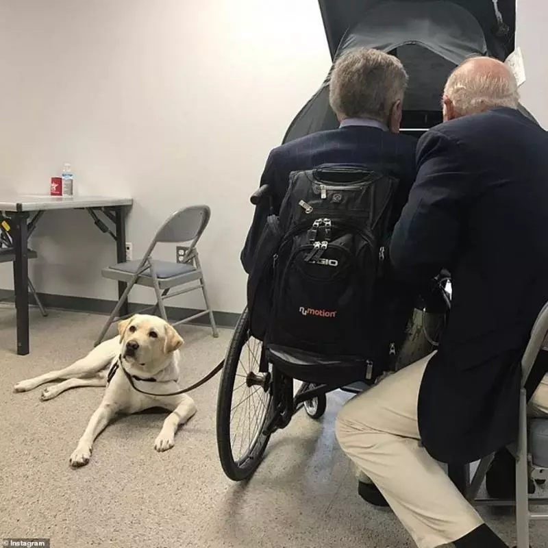 狗狗眼中只有主人… 忠犬為老布希守棺「盡職陪他走完最後一哩路」