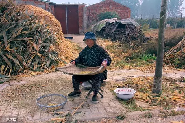 女兒二婚我陪嫁房車,親家母提一要求,我巴不得取消婚禮
