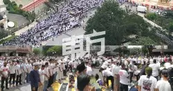 馬蓉爆頭破相照 友誓要王寶強吃牢飯