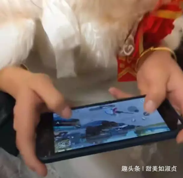 新娘因玩手機讓新郎明天再來,看到手機里的內容時,心疼新郎