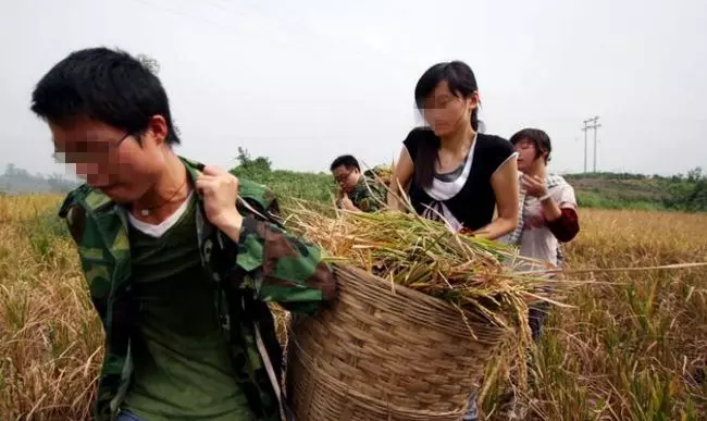 兒子出差,兒媳晚上卻總帶人回來,婆婆怒推開門,接下來淚目
