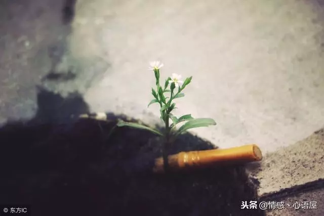 決定你一生的關鍵10年