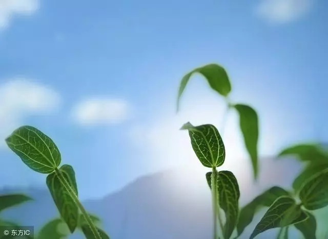 堅持自己的活法,無愧自己的良心