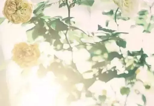 人活一輩子,健康最重要
