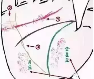 幾乎失傳的「手診」口訣,終於找全了!現在還不看,就虧大了!