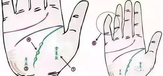 幾乎失傳的「手診」口訣,終於找全了!現在還不看,就虧大了!