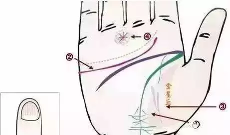 幾乎失傳的「手診」口訣,終於找全了!現在還不看,就虧大了!