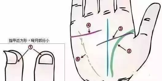 幾乎失傳的「手診」口訣,終於找全了!現在還不看,就虧大了!