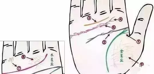 幾乎失傳的「手診」口訣,終於找全了!現在還不看,就虧大了!