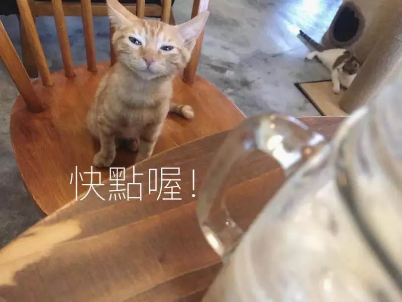 想收編老公不准!她狂傳「養我養我圖」洗版 小吃貨表情超有戲:快點喔~