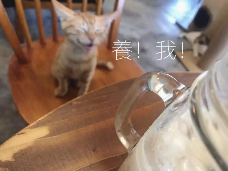 想收編老公不准!她狂傳「養我養我圖」洗版 小吃貨表情超有戲:快點喔~