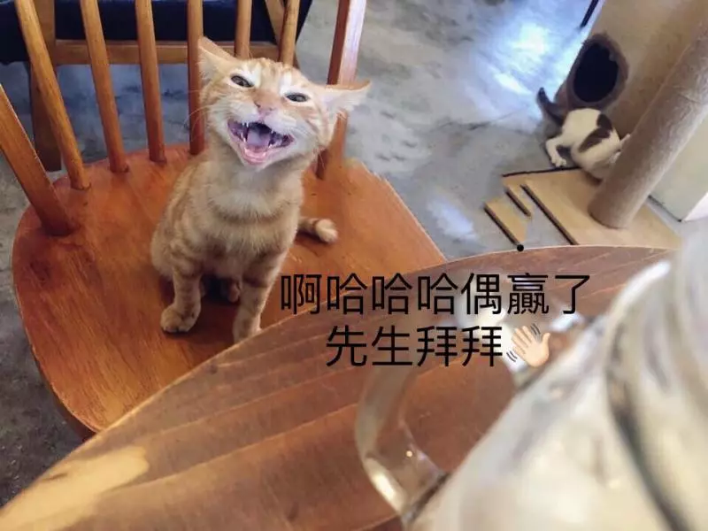 想收編老公不准!她狂傳「養我養我圖」洗版 小吃貨表情超有戲:快點喔~