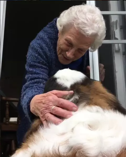 93歲奶奶走了老伴就一直獨居 隔壁大狗溫馨來認親:當我阿嬤豪不好