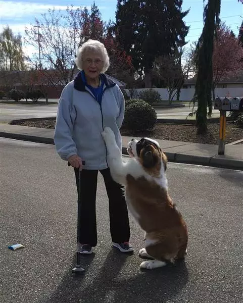 93歲奶奶走了老伴就一直獨居 隔壁大狗溫馨來認親:當我阿嬤豪不好