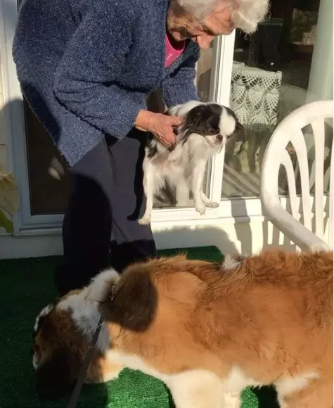 93歲奶奶走了老伴就一直獨居 隔壁大狗溫馨來認親:當我阿嬤豪不好