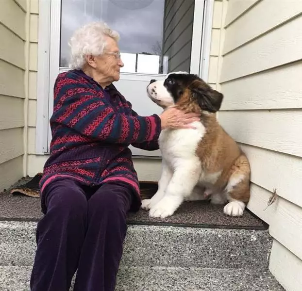 93歲奶奶走了老伴就一直獨居 隔壁大狗溫馨來認親:當我阿嬤豪不好