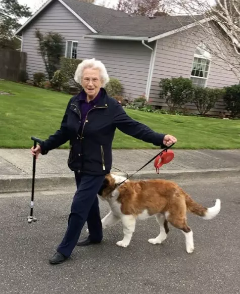 93歲奶奶走了老伴就一直獨居 隔壁大狗溫馨來認親:當我阿嬤豪不好