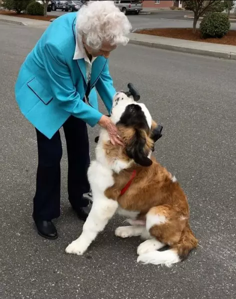 93歲奶奶走了老伴就一直獨居 隔壁大狗溫馨來認親:當我阿嬤豪不好