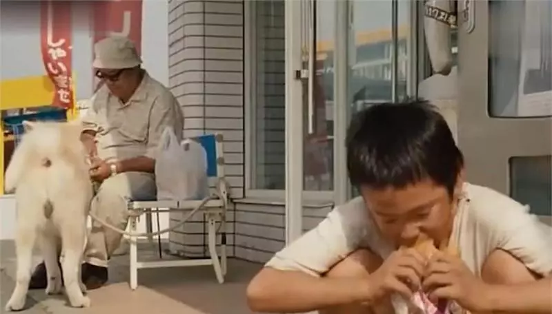 忠犬不知道主人已離開世界,每天去街道撿食物送給主人,感動哭了!
