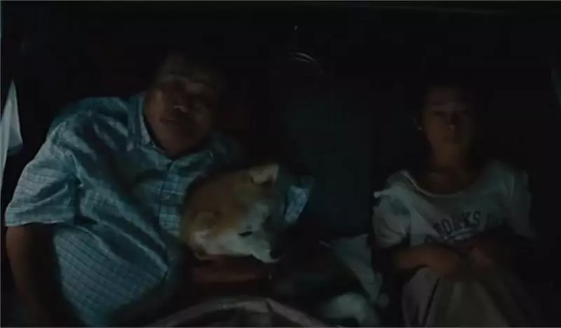 忠犬不知道主人已離開世界,每天去街道撿食物送給主人,感動哭了!
