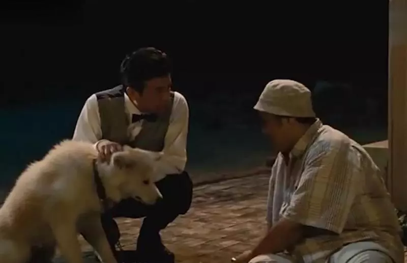忠犬不知道主人已離開世界,每天去街道撿食物送給主人,感動哭了!