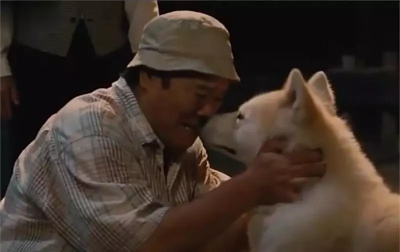 忠犬不知道主人已離開世界,每天去街道撿食物送給主人,感動哭了!