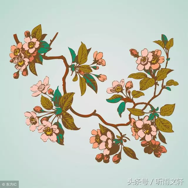 「兒媳,你生二胎,你媽沒來照顧,我也不來」「我媽已請保姆了」
