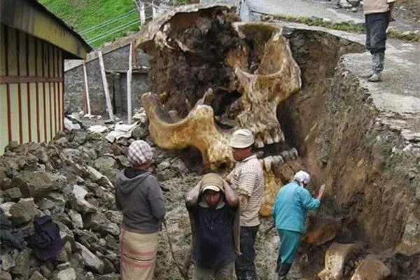 地球上是否存在巨人族?