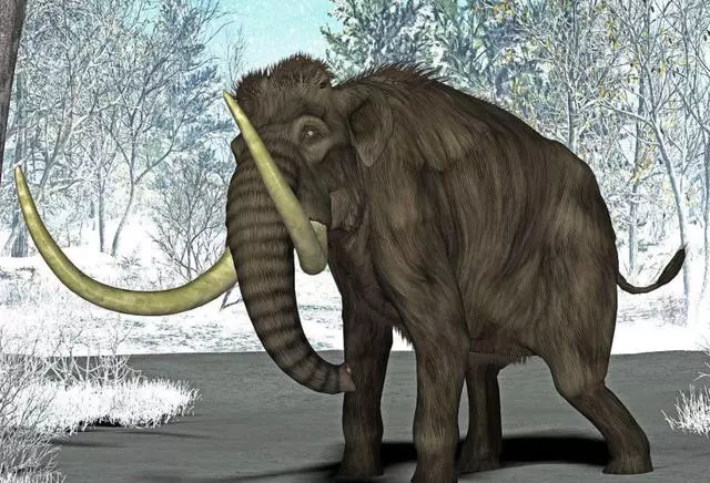 最有復活價值的五種古生物,你希望復活哪一種呢?
