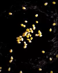 信了你的邪!廣告上那些饞死人的食物竟然是這樣拍出來的!