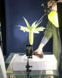 信了你的邪!廣告上那些饞死人的食物竟然是這樣拍出來的!