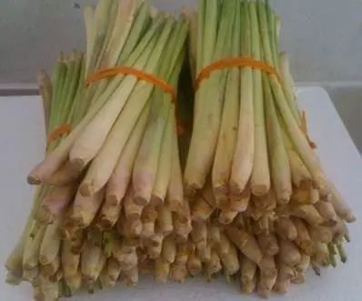 為您詳細介紹香茅草的功效與作用、「治頭暈,頭風,風痰,鶴膝症,祛風濕,治筋骨疼痛;煎水飲可以止心痛及半身麻木。」
