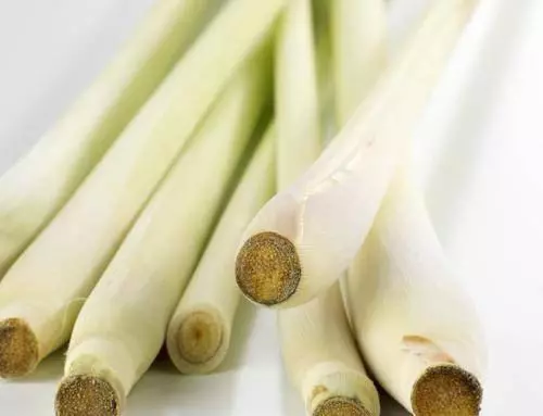 為您詳細介紹香茅草的功效與作用、「治頭暈,頭風,風痰,鶴膝症,祛風濕,治筋骨疼痛;煎水飲可以止心痛及半身麻木。」