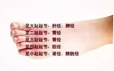足背拉一拉,活到98!老中醫絕學,比按摩還有效
