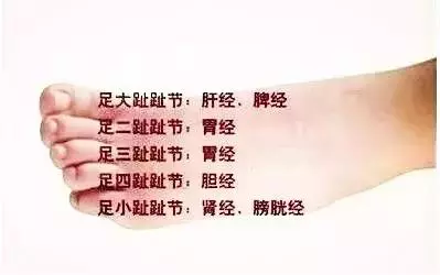 足背拉一拉,活到98!老中醫絕學,比按摩還有效