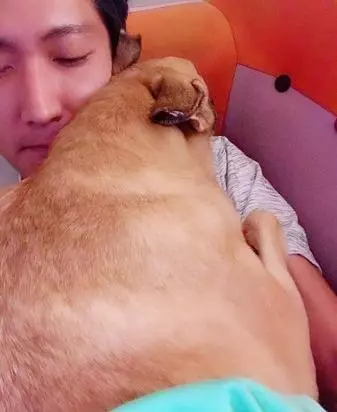 感人!「你不要怕,爸爸陪你走」謝謝你陪狗狗走完最後一程
