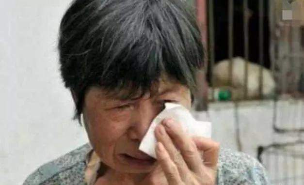 帶雞蛋去城裡看孫子,半夜聽到兒子和兒媳吵架,我連夜離開!
