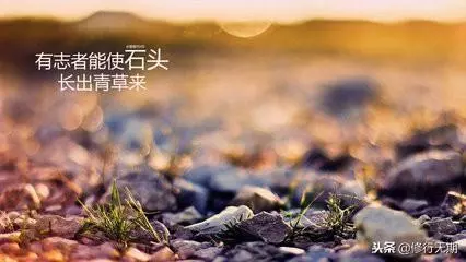 正感迷茫時候,不如再給自己一針雞血