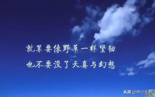 正感迷茫時候,不如再給自己一針雞血