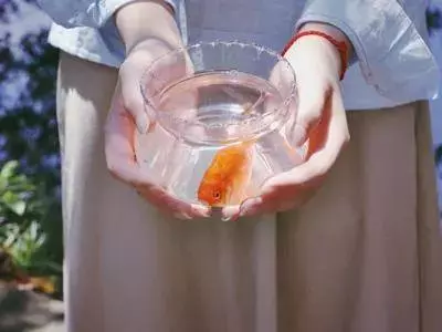 女人,讀懂這六句話,瞬間提升你的情商