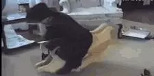 妹子,今天風那麼大,快找個地方躲一下吧,沒想到下一秒竟然…都別攔我,我要娶個這樣子的姑娘!