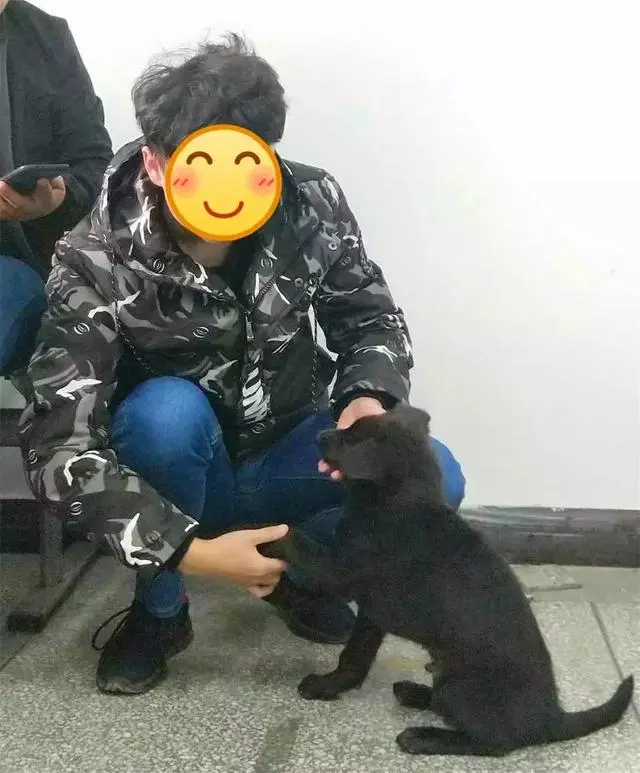 校園流浪狗被男生收養,曾是共同聽課的同學,不願狗狗繼續漂泊!