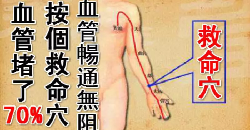 血管堵了, 醫生1個「救命穴」挽回生命!血管暢通無阻,恢復血管彈性!