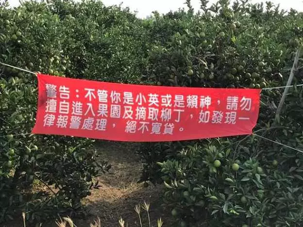 29張證明台灣人「掛紅布條掛上癮」的超廢文宣 「賀本店距離百年老店只剩99年」
