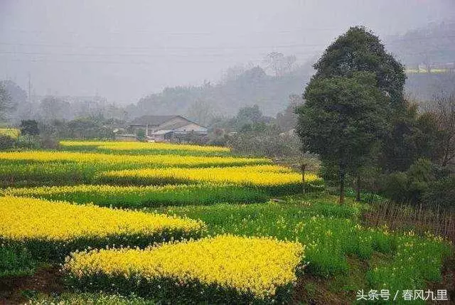 老乞丐無親無故,死後卻被全鎮人追悼,原來他身份不一般