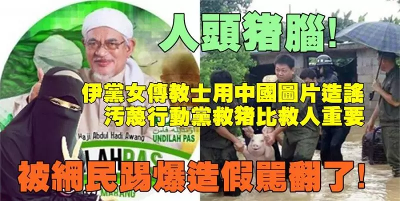 人頭豬腦!伊斯蘭黨女傳教士用一張中國水災救豬圖造謠,攻擊行動黨救豬比救人重要;被馬來網民揭發造假!被