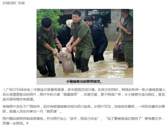 人頭豬腦!伊斯蘭黨女傳教士用一張中國水災救豬圖造謠,攻擊行動黨救豬比救人重要;被馬來網民揭發造假!被