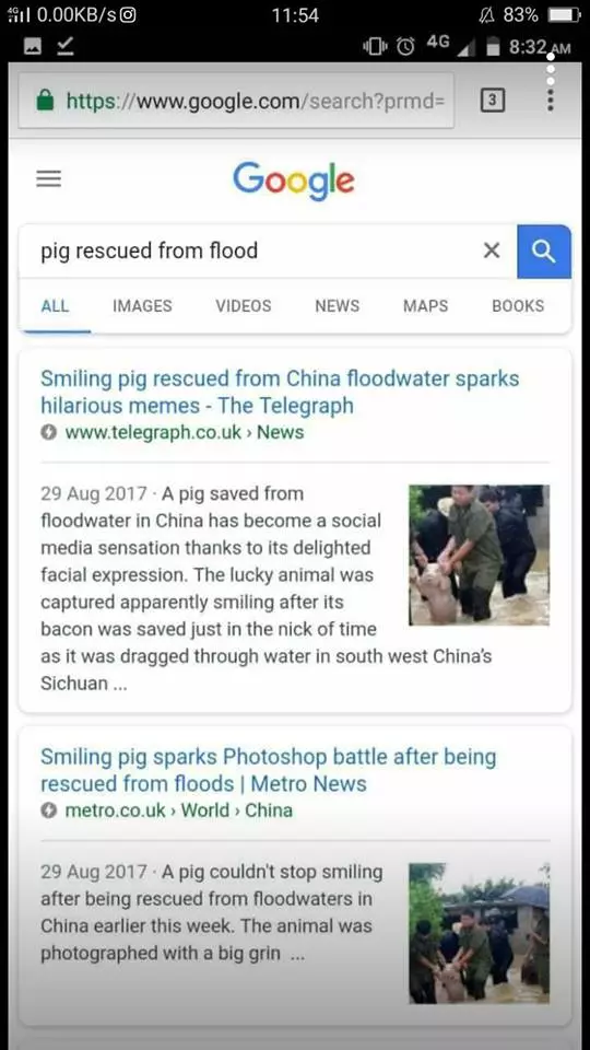 人頭豬腦!伊斯蘭黨女傳教士用一張中國水災救豬圖造謠,攻擊行動黨救豬比救人重要;被馬來網民揭發造假!被